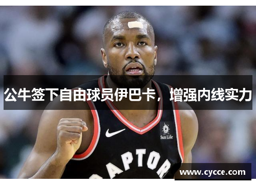 公牛签下自由球员伊巴卡，增强内线实力