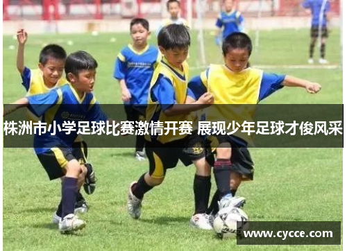 株洲市小学足球比赛激情开赛 展现少年足球才俊风采