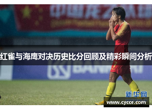 红雀与海鹰对决历史比分回顾及精彩瞬间分析
