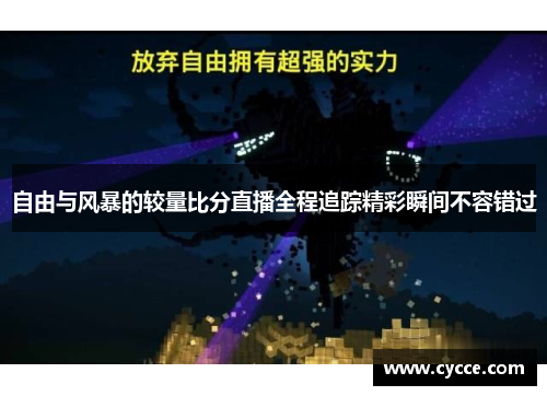自由与风暴的较量比分直播全程追踪精彩瞬间不容错过