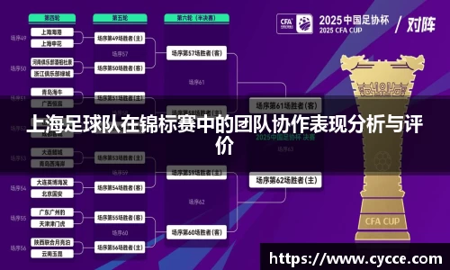 上海足球队在锦标赛中的团队协作表现分析与评价
